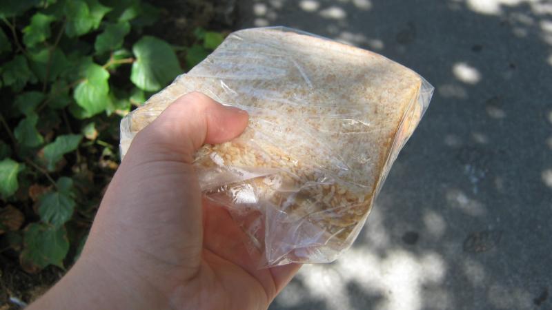 picture of a sandwich being handed out