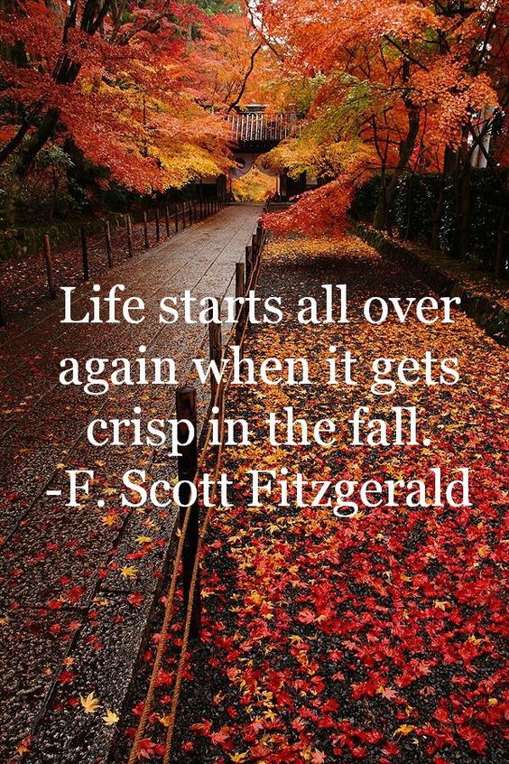 Happy Fall for Motivational Monday - Covenant House Vancouver